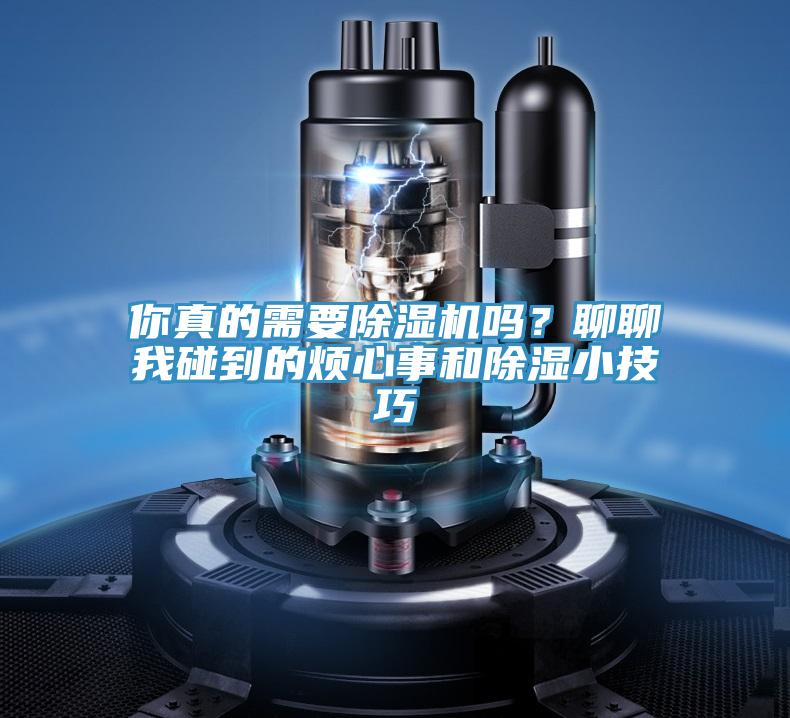 你真的需要好色先生在线播放嗎?聊聊我碰到的煩心事和除濕小技巧