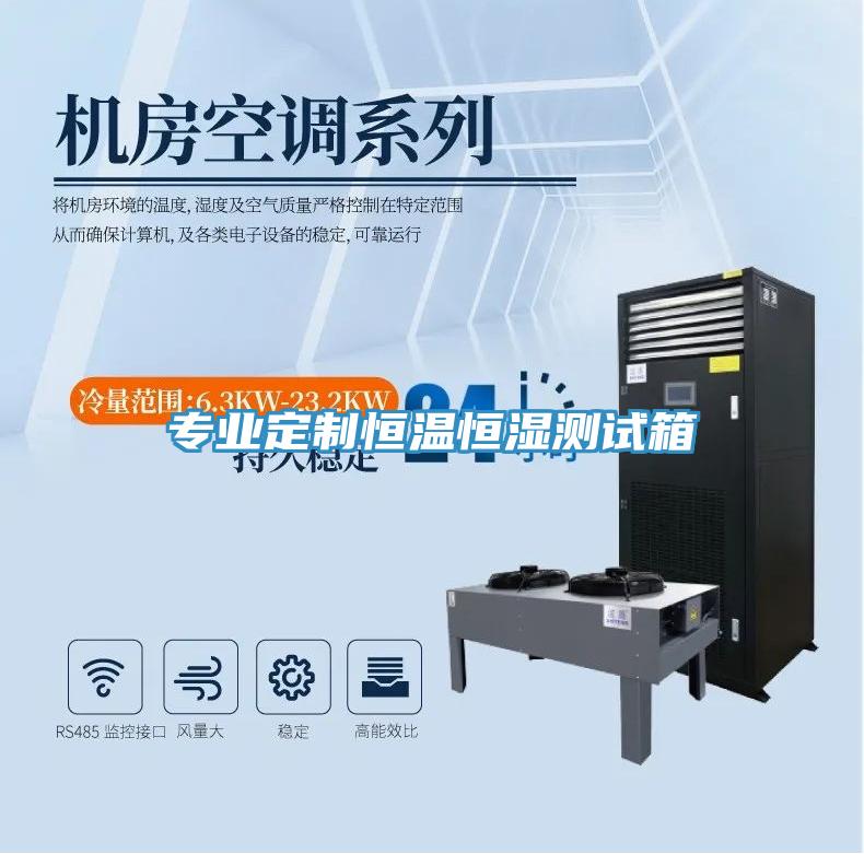 專業定製恒溫恒濕測試箱