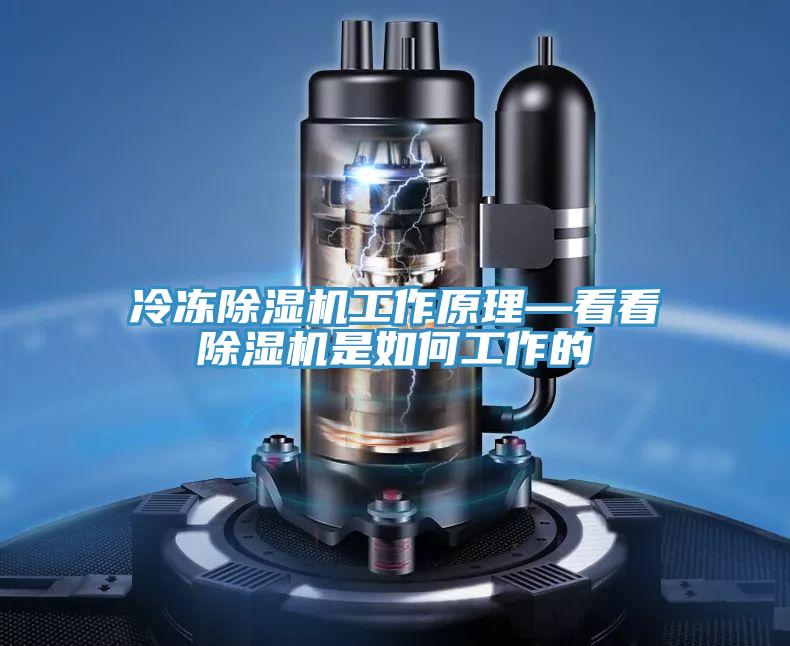 冷凍好色先生在线播放工作原理—看看好色先生在线播放是如何工作的