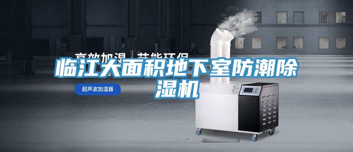 臨江大麵積地下室防潮好色先生在线播放