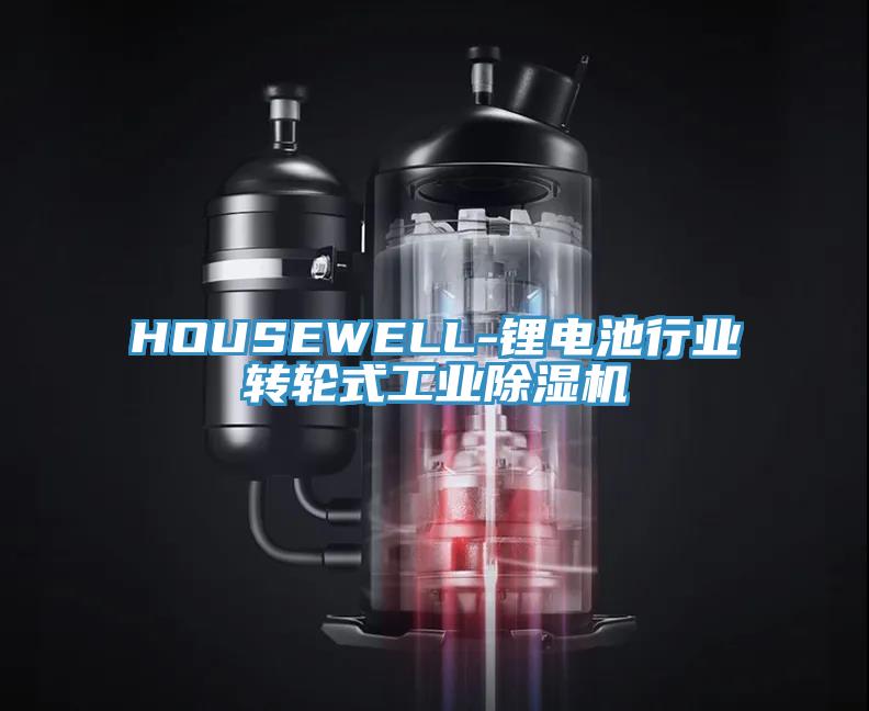 HOUSEWELL-鋰電池行業轉輪式工業好色先生在线播放