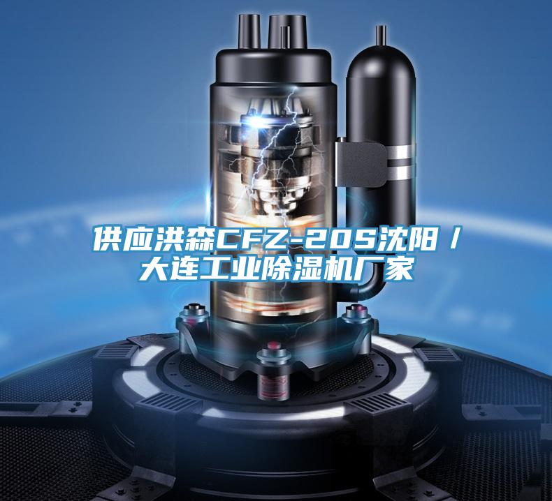 供應洪森CFZ-20S沈陽／大連工業好色先生在线播放廠家