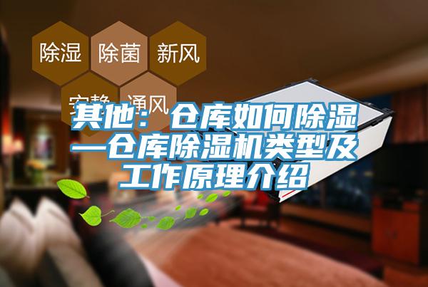 其他：倉庫如何除濕—倉庫好色先生在线播放類型及工作原理介紹