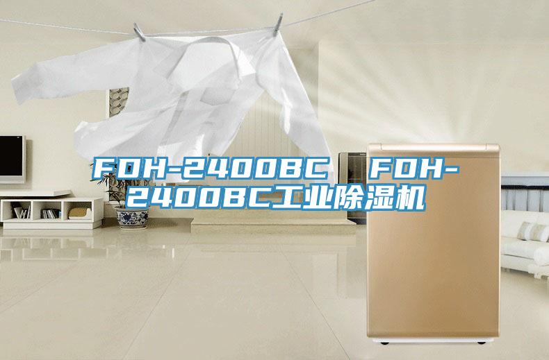 FDH-2400BC  FDH-2400BC工業好色先生在线播放