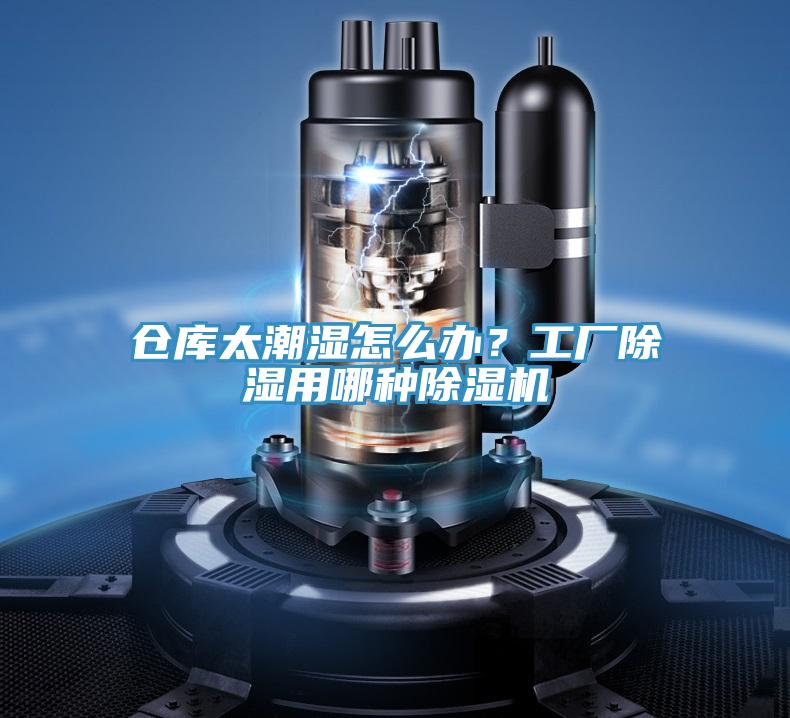 倉庫太潮濕怎麽辦？工廠除濕用哪種好色先生在线播放