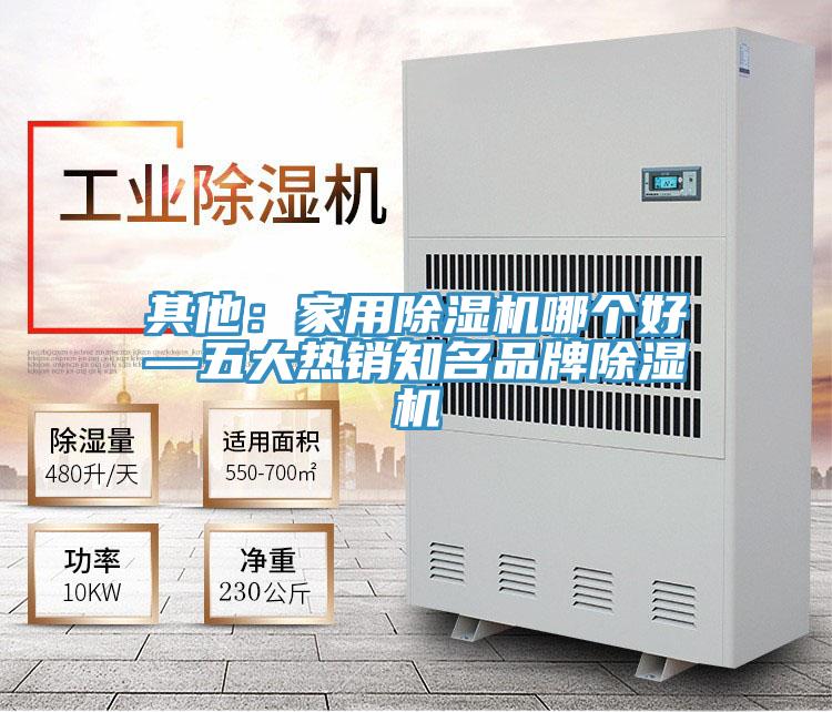 其他：家用好色先生在线播放哪個好—五大熱銷知名品牌好色先生在线播放