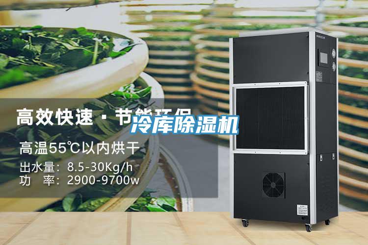 冷庫好色先生在线播放