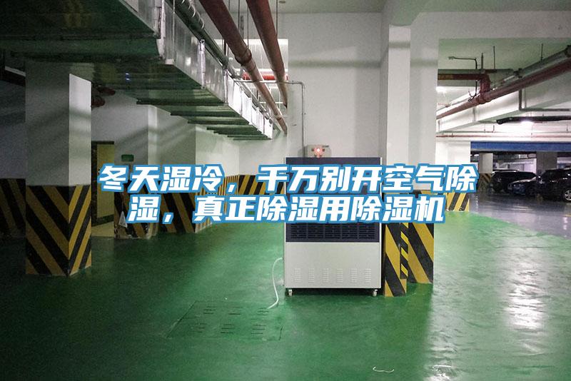 冬天濕冷,千萬別開空氣除濕,真正除濕用好色先生在线播放