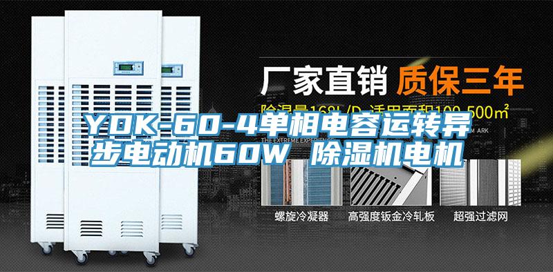 YDK-60-4單相電容運轉異步電動機60W 好色先生在线播放電機