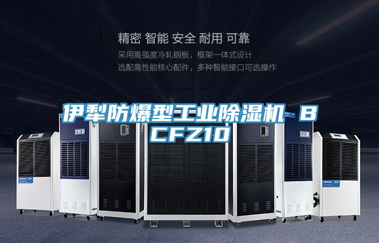 伊犁防爆型工業好色先生在线播放 BCFZ10