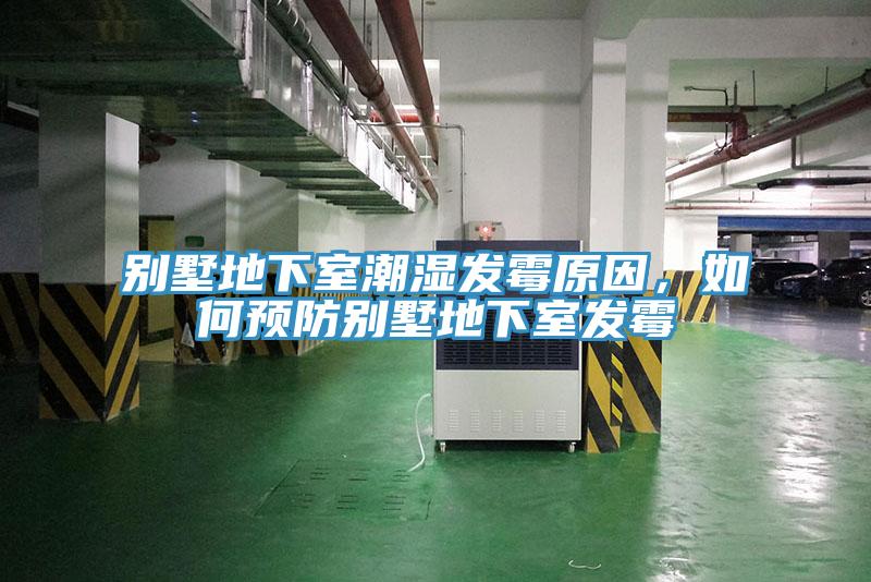 別墅地下室潮濕發黴原因，如何預防別墅地下室發黴