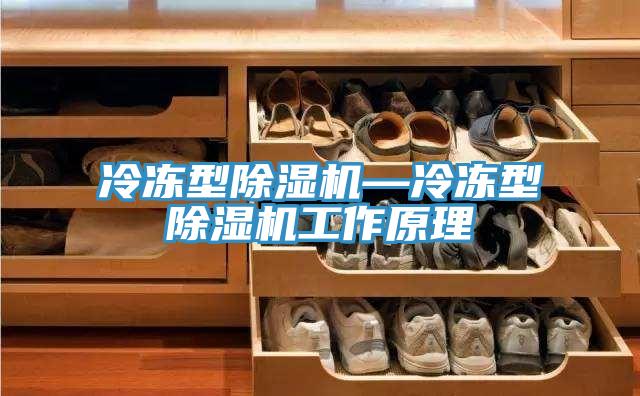 冷凍型好色先生在线播放—冷凍型好色先生在线播放工作原理