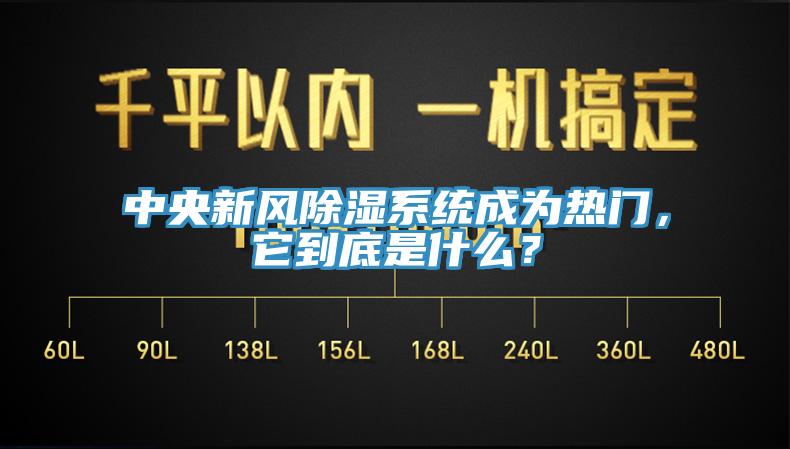 中央新風除濕係統成為熱門，它到底是什麽？