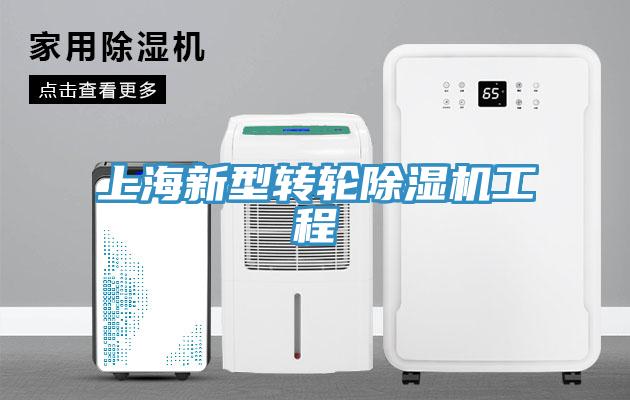 上海新型轉輪好色先生在线播放工程