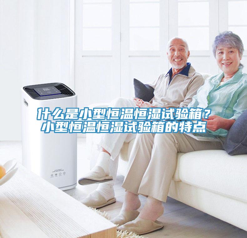 什麽是小型恒溫恒濕試驗箱？小型恒溫恒濕試驗箱的特點