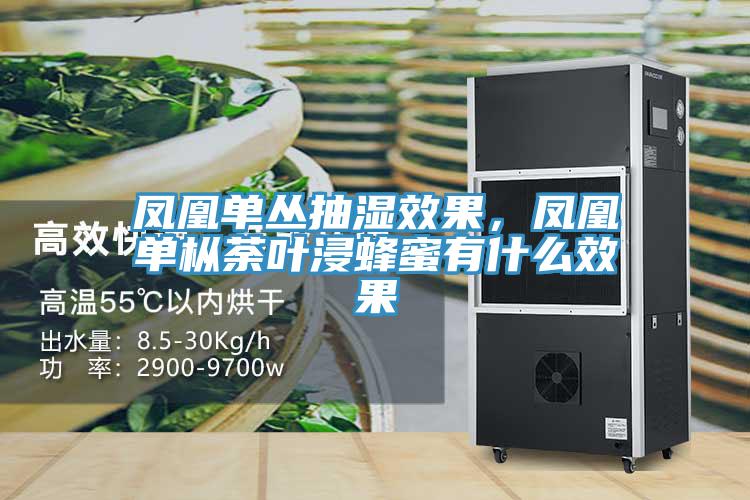鳳凰單叢抽濕效果，鳳凰單樅荼葉浸蜂蜜有什麽效果