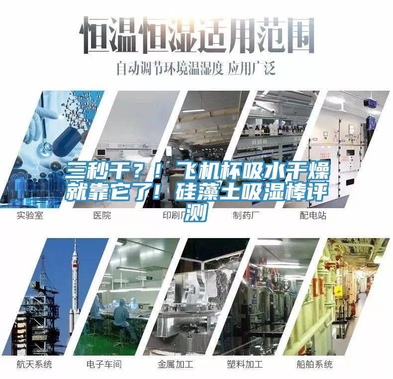 三秒幹？! 飛機杯吸水幹燥就靠它了! 矽藻土吸濕棒評測