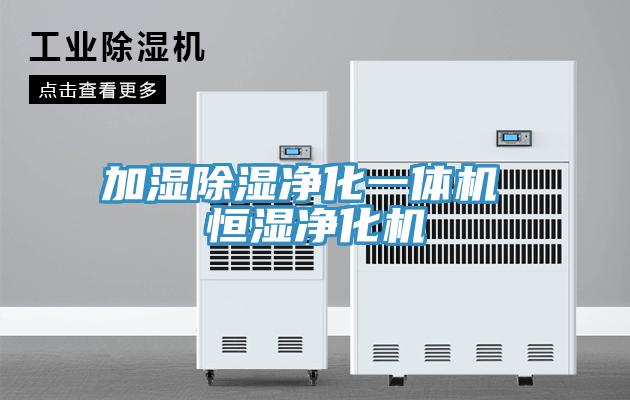 加濕除濕淨化一體機 恒濕淨化機