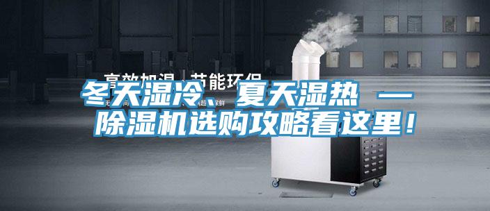 冬天濕冷、夏天濕熱 — 好色先生在线播放選購攻略看這裏!