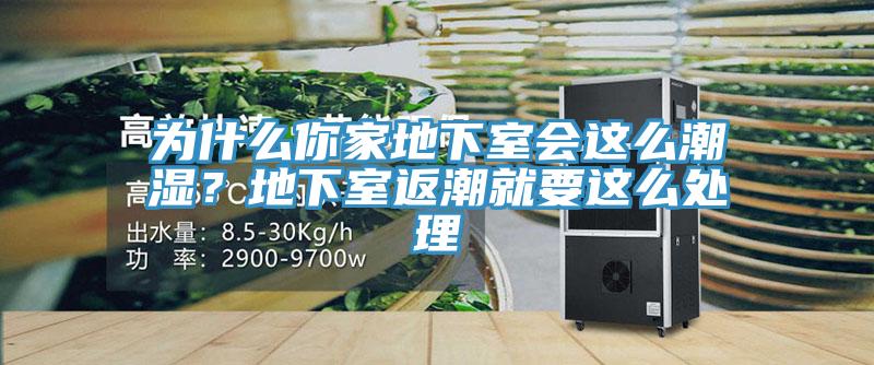 為什麽你家地下室會這麽潮濕？地下室返潮就要這麽處理