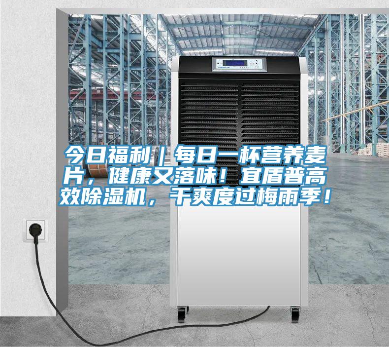 今日福利｜每日一杯營養麥片，健康又落味！宜盾普高效好色先生在线播放，幹爽度過梅雨季！
