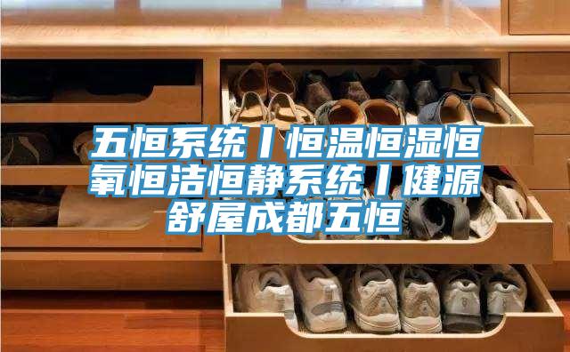 五恒係統丨恒溫恒濕恒氧恒潔恒靜係統丨健源舒屋成都五恒