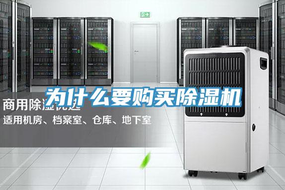 為什麽要購買好色先生在线播放