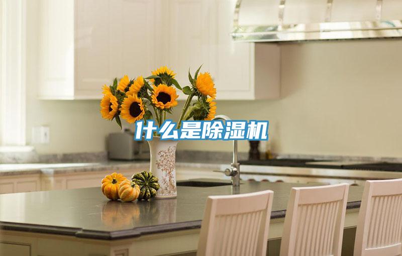 什麽是好色先生在线播放