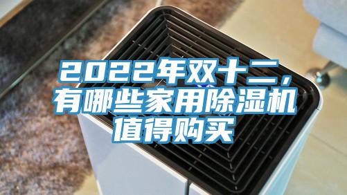 2022年雙十二，有哪些家用好色先生在线播放值得購買