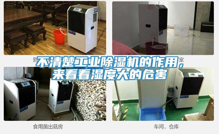 不清楚工業好色先生在线播放的作用,來看看濕度大的危害