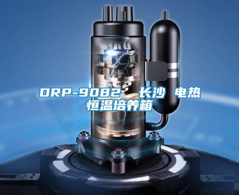 DRP-9082 長沙 電熱恒溫培養箱
