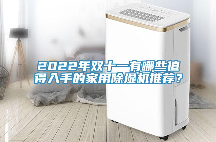 2022年雙十一有哪些值得入手的家用好色先生在线播放推薦？