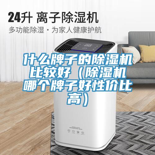 什麽牌子的好色先生在线播放比較好(好色先生在线播放哪個牌子好性價比高)