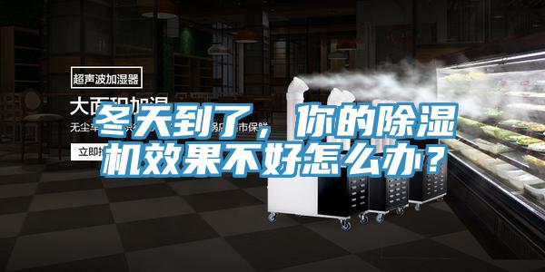 冬天到了,你的好色先生在线播放效果不好怎麽辦?