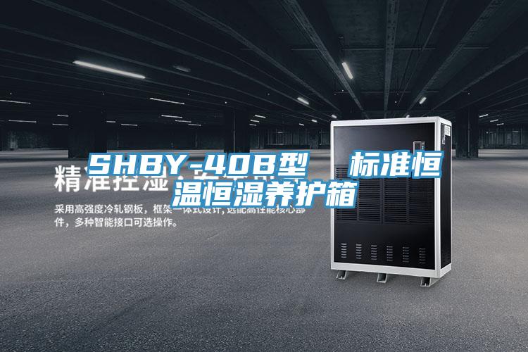 SHBY-40B型 標準恒溫恒濕養護箱