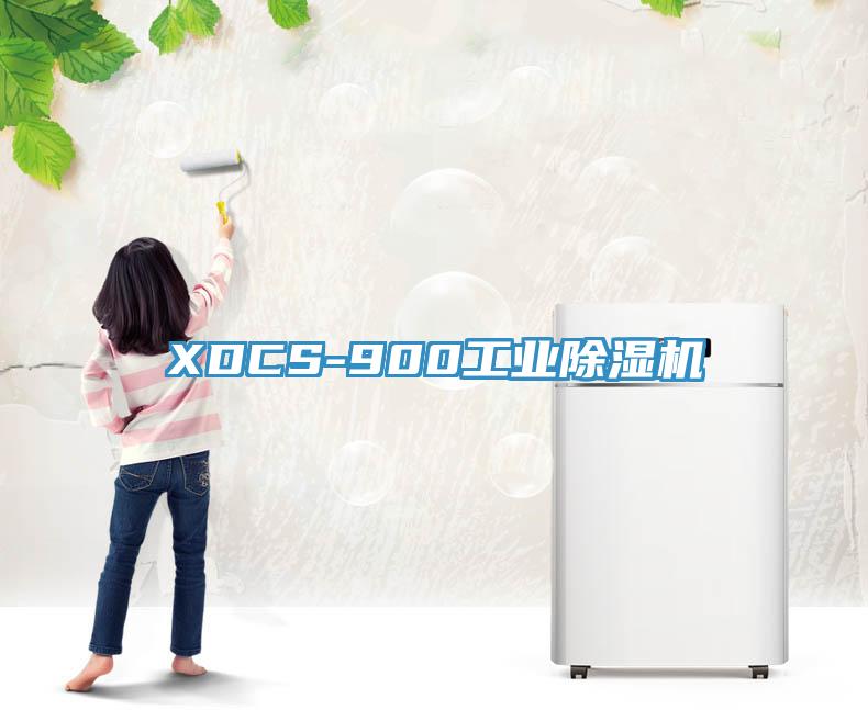 XDCS-900工業好色先生在线播放