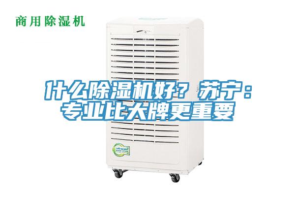 什麽好色先生在线播放好？蘇寧：專業比大牌更重要