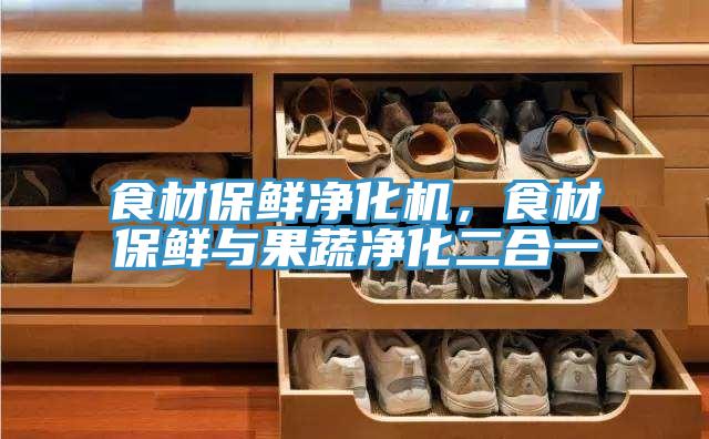 食材保鮮淨化機，食材保鮮與果蔬淨化二合一