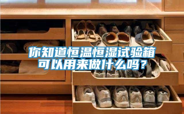 你知道恒溫恒濕試驗箱可以用來做什麽嗎？