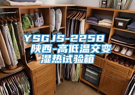YSGJS-225B 陝西-高低溫交變濕熱試驗箱