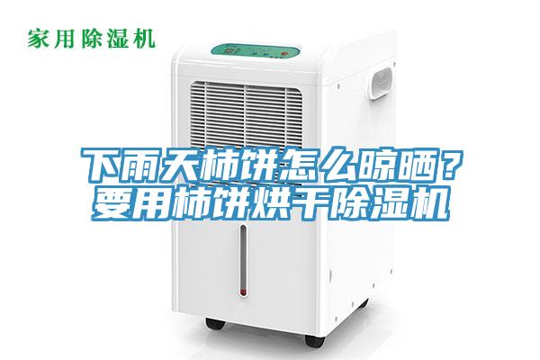 下雨天柿餅怎麽晾曬？要用柿餅烘幹好色先生在线播放