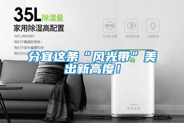 分宜這條“風光帶”美出新高度！