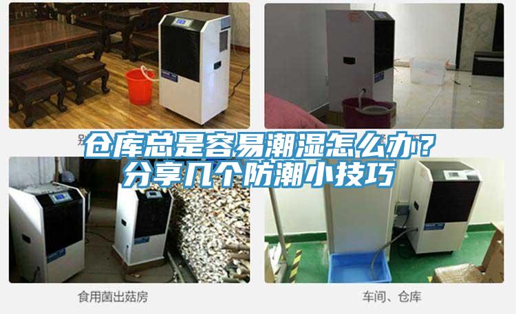 倉庫總是容易潮濕怎麽辦？分享幾個防潮小技巧