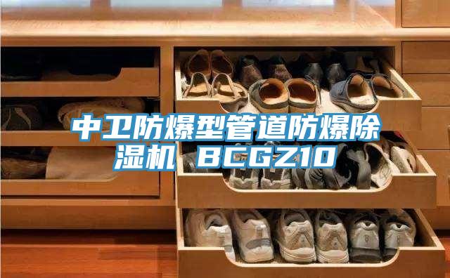 中衛防爆型管道防爆好色先生在线播放 BCGZ10