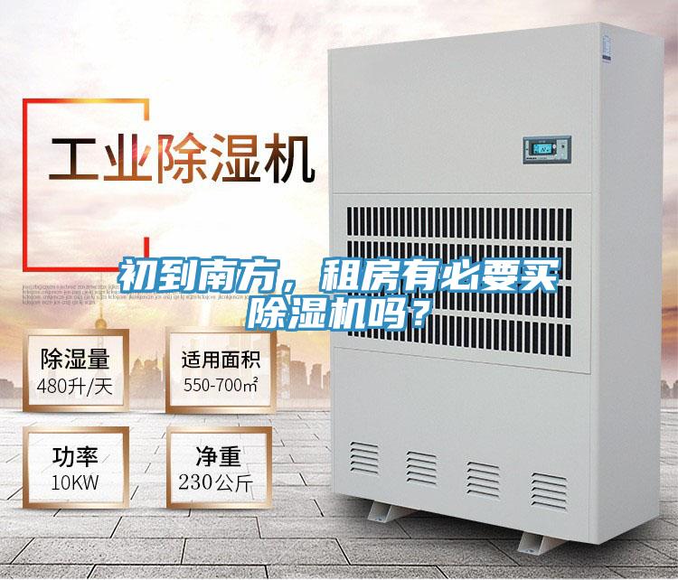 初到南方，租房有必要買好色先生在线播放嗎？