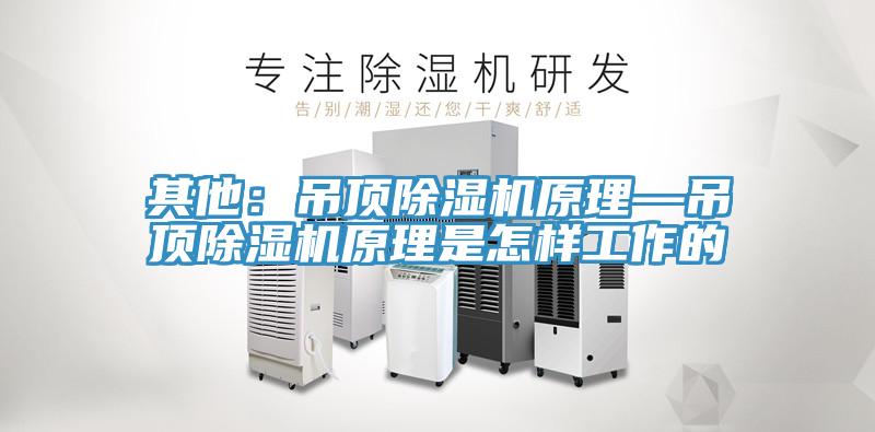 其他：吊頂好色先生在线播放原理—吊頂好色先生在线播放原理是怎樣工作的