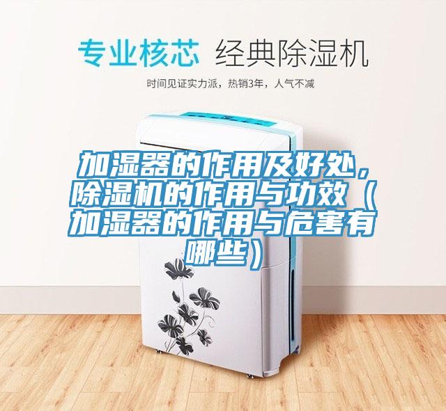 加濕器的作用及好處,好色先生在线播放的作用與功效(加濕器的作用與危害有哪些)