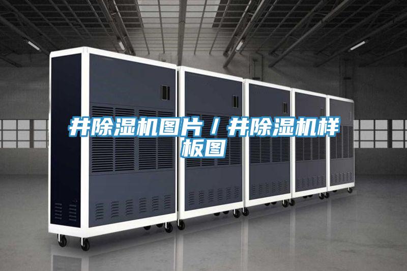 井好色先生在线播放圖片／井好色先生在线播放樣板圖