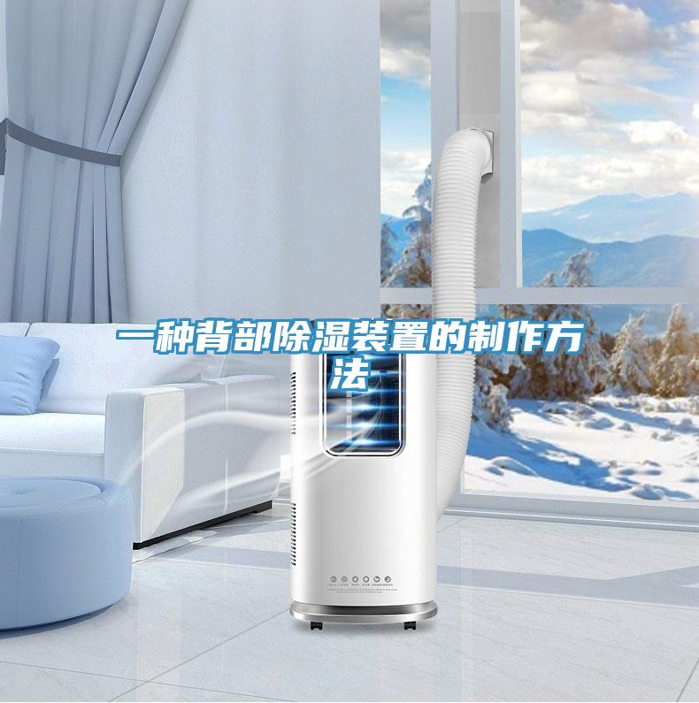 一種背部除濕裝置的製作方法