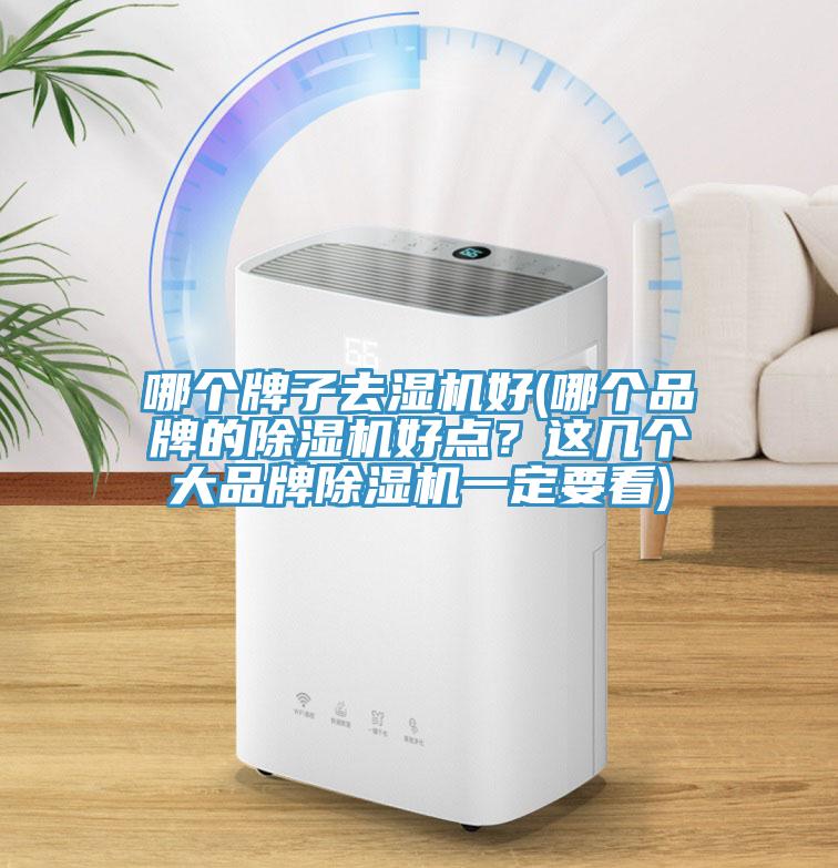 哪個牌子去濕機好(哪個品牌的好色先生在线播放好點？這幾個大品牌好色先生在线播放一定要看)